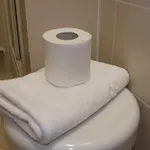 Il Volto *