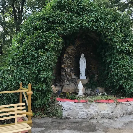 Il Volto