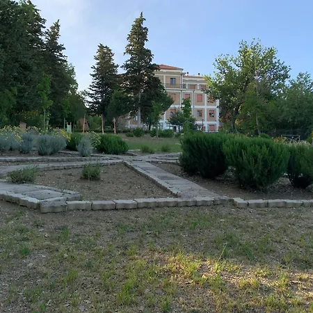Il Volto