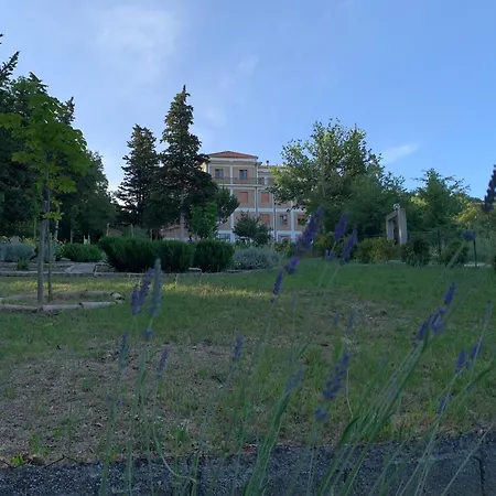 Il Volto