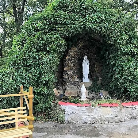 Il Volto