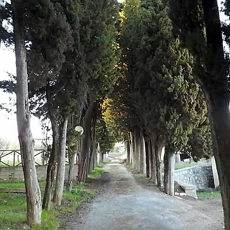 Il Volto Auberge de jeunesse *