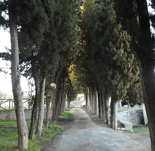 Auberge de jeunesse Il Volto Potenza